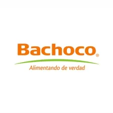 Bachoco